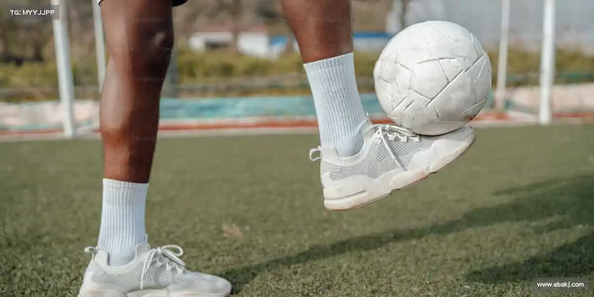 行业领先的理由