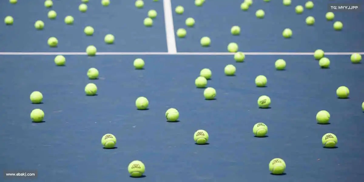 米兰官网🏋️♀️汗水不会说谎,坚持必有回响 —— 你的健康,由运动守护!